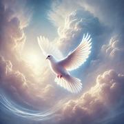 Foto reading met tarotist Storm